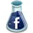 Facebook Icon